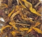 Preview: Lucky Reptile Flower Mix Hibiscus 50 g