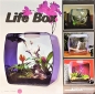 Preview: Lucky Reptile Life Box 30 x 30 cm purple/beere