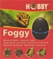 Preview: Hobby Foggy Nebler