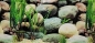 Preview: 50 cm hohe Rückwandfolie Pflanzen mit Stein pro 10cm