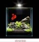 Preview: COLLAR Aquarium Set Nano LED 10 l