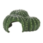 Preview: Cactus Home 1 22 cm Hobby