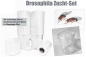 Preview: Drosophila Zucht-Set mit 20 Dosen