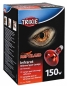 Preview: Trixie Infrarot Wärme Spotlampe 150 W