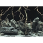 Preview: Aquarien-Hintergrund Tree Roots/Water 100 x 50 cm