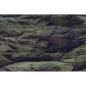 Preview: Aquarien-Hintergrund Rock/Plants 60 x 30 cm