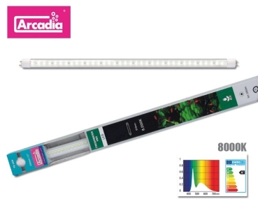 Arcadia Freshwater pro 8000K T5/J LED 8W 550mm