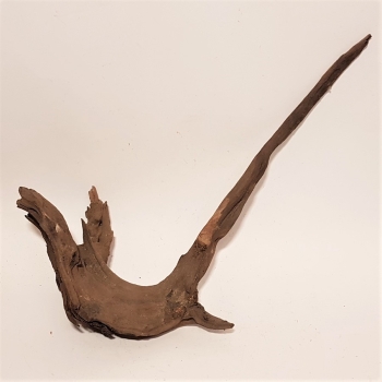 Driftwood / Flusswurzel Nr.12 - 55 cm Einzelstück