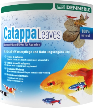 Dennerle Catappa Leaves 10 Stück