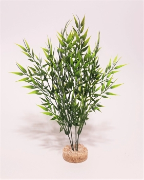 Bamboo XL