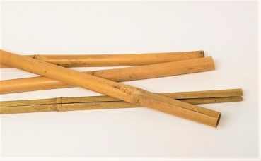 Bambus Rohr 2x60 cm