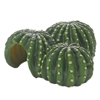 Cactus Home 1 22 cm Hobby