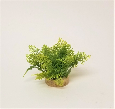 Deko Pflanze 2 Green Moss 6 cm