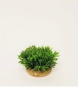 Deko Pflanze Green Moss 6 cm