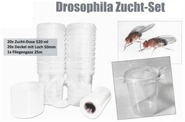 Drosophila Zucht-Set mit 20 Dosen