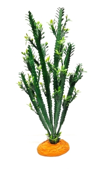 Euphorbia L 47 cm Hobby