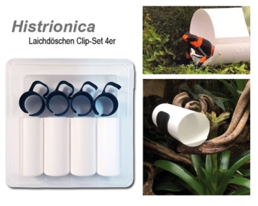 Histrionica Laichdöschen Clip-Set 4er