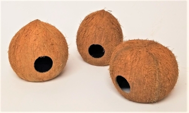 Kokosnusshöhle M mit Fasern
