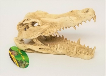 Krokodil Skull 25 cm Lucky Reptile
