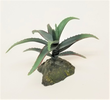 Lucky Reptile Agave mittel