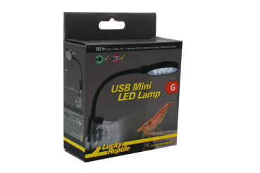 USB mini LED Lamp Lucky Reptile