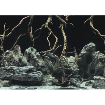 Aquarien-Hintergrund Tree Roots/Water 60 x 30 cm