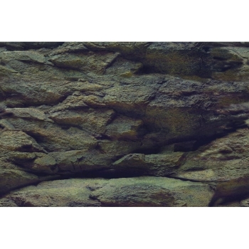 Aquarien-Hintergrund Rock/Plants 60 x 30 cm
