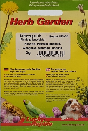 Lucky Reptile Herb Garden Samen Spitzwegerich 3g
