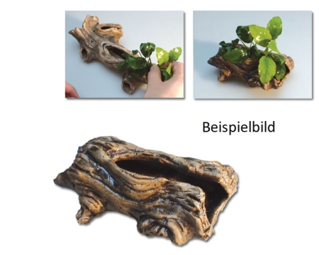 Liegender Pflanzbaum Gr. L 12 cm