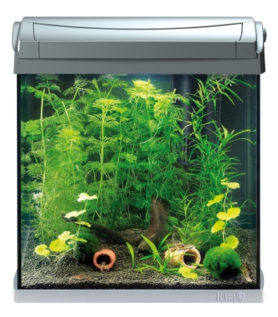 Tetra Acquario AquaArt LED 30 L per Gamberetti - Olibetta Svizzera