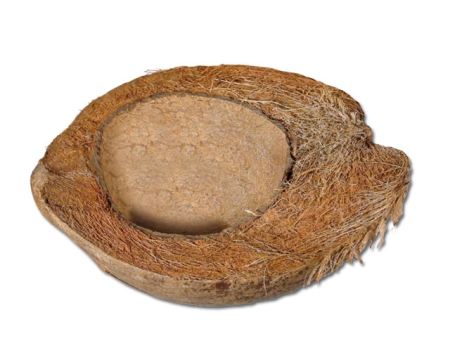 Kokosnuss Trinkschale