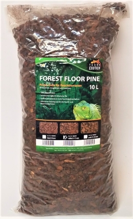 Exotica Forest Floor Pine 10L - Pinie mittel 5 - 12 mm