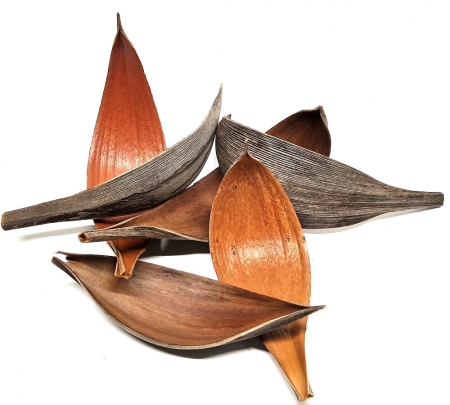 Kokospalmenblatt L 30-40 cm
