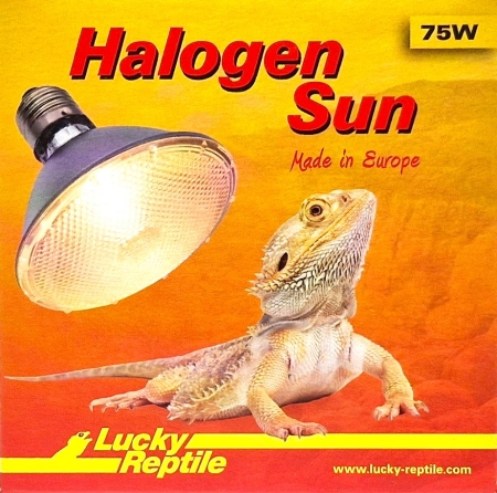 Lucky Reptile Halogen Sun 75 W
