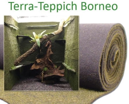 Terra-Teppich Borneo 65 cm