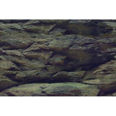 Aquarien-Hintergrund Rock/Plants 100 x 50 cm