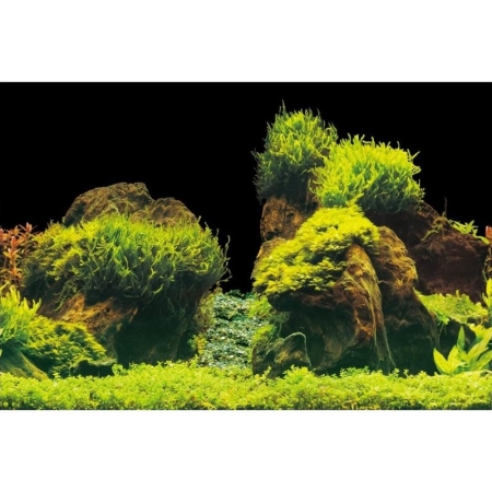 Aquarien-Hintergrund Rock/Plants 60 x 30 cm
